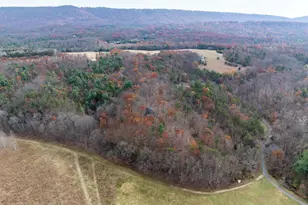 446 Broomgrass Way, Gerrardstown, WV 25420 - Photo 43