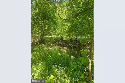 Lot 12 Puffenburger Lane, Hedgesville, WV 25427 - Photo 5