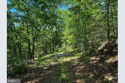 29 Bluff Trail, Gerrardstown, WV 25420 - Photo 3