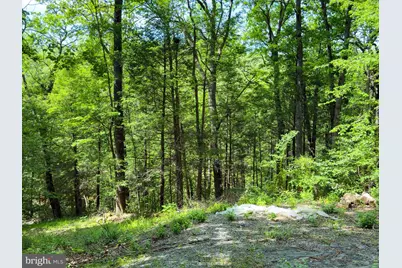 29 Bluff Trail, Gerrardstown, WV 25420 - Photo 5