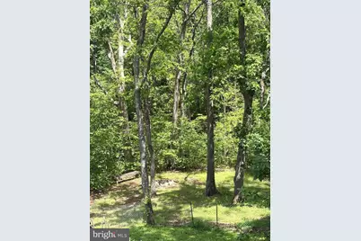 204 Raccoon Lane, Gerrardstown, WV 25420 - Photo 39
