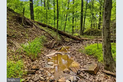 34-35 Maverick Trail, Hedgesville, WV 25427 - Photo 17