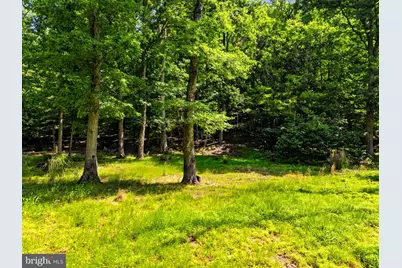 34-35 Maverick Trail, Hedgesville, WV 25427 - Photo 3