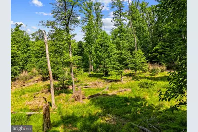 Lot 35 Maverick Trail, Hedgesville, WV 25427 - Photo 21