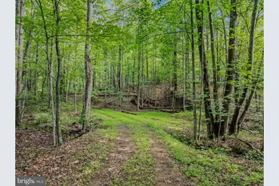 Tract 2 Grecian Lane, Hedgesville, WV 25427 - Photo 45