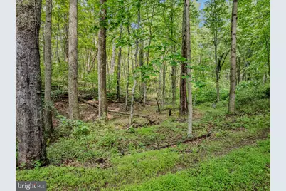 Tract 2 Grecian Lane, Hedgesville, WV 25427 - Photo 47