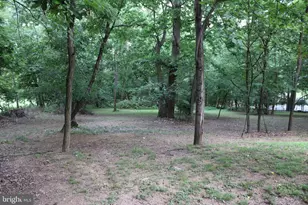 957 Butlers Chapel Rd, Martinsburg, WV 25403 - Photo 25