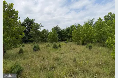 Tract 1: 43.5+/- Acres At 212 Id Van Metre Road, Kearneysville, WV 25430 - Photo 33