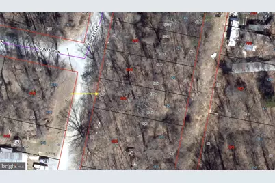 Contact Ln- Lot 25, Blk 8, Falling Waters, WV 25419 - Photo 1