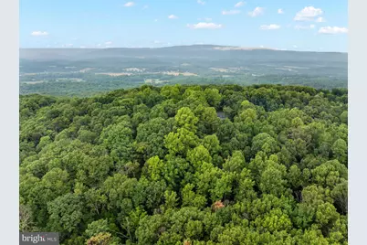 695 Vulpine Drive, Gerrardstown, WV 25420 - Photo 65