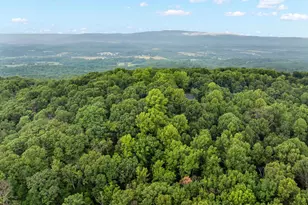 695 Vulpine Dr, Gerrardstown, WV 25420 - Photo 65
