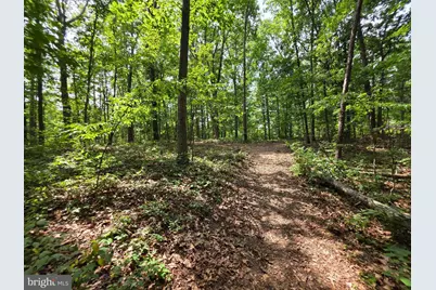 2.18 Acres On Getaway Road, Hedgesville, WV 25427 - Photo 3