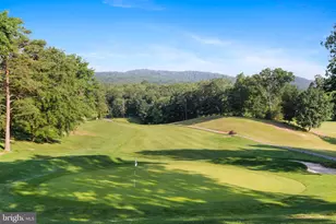 354 Animikean Ridge, Hedgesville, WV 25427 - Photo 29