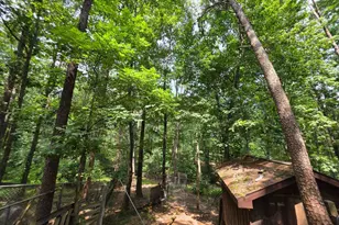 299 Getaway Rd, Hedgesville, WV 25427 - Photo 49