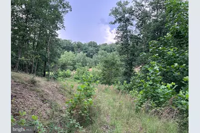 Basswood Drive Lot #9, Bunker Hill, WV 25413 - Photo 23