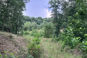 Basswood Dr Lot, Bunker Hill, WV 25413 - Photo 23