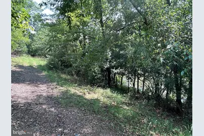 Basswood Drive Lot #9, Bunker Hill, WV 25413 - Photo 9