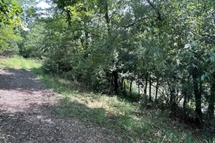 Basswood Dr Lot, Bunker Hill, WV 25413 - Photo 9