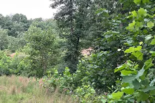 Basswood Dr Lot, Bunker Hill, WV 25413 - Photo 11