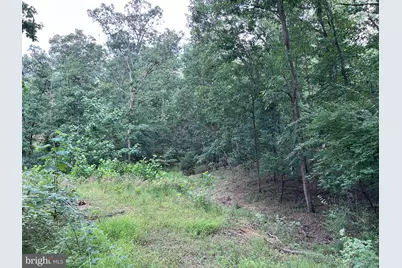 Basswood Drive Lot #9, Bunker Hill, WV 25413 - Photo 21