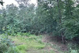 Basswood Dr Lot, Bunker Hill, WV 25413 - Photo 21