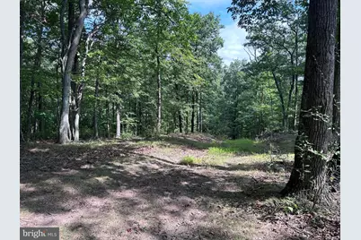 Lot 46 Peewee Lane, Hedgesville, WV 25427 - Photo 17