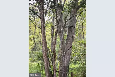 3305 Butts Mill Road, Hedgesville, WV 25427 - Photo 39