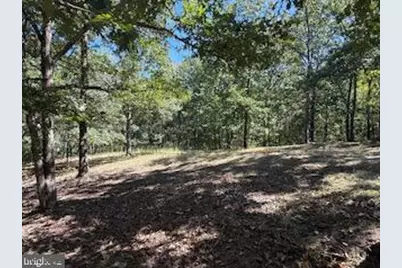 0 Palmer Road, Gerrardstown, WV 25420 - Photo 29