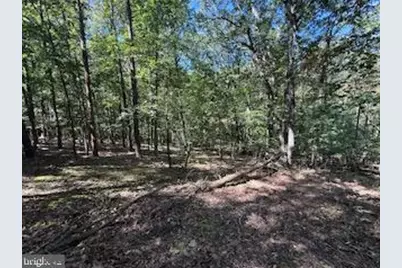 0 Palmer Road, Gerrardstown, WV 25420 - Photo 37