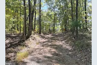 0 Palmer Road, Gerrardstown, WV 25420 - Photo 11