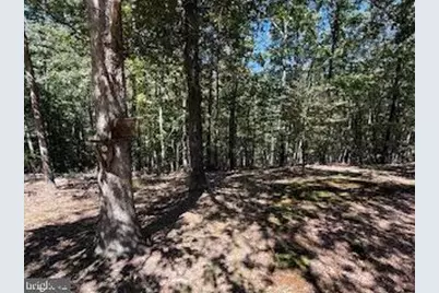 0 Palmer Road, Gerrardstown, WV 25420 - Photo 39
