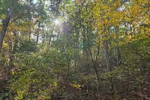Parsons Rd, Hedgesville, WV 25427 - Photo 1