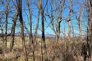 00 Chestnut Ridge Rd, Staunton, VA 24401 - Photo 1