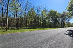 2 273 Ac Gravel Hill Rd, Dillwyn, VA 23936 - Photo 1
