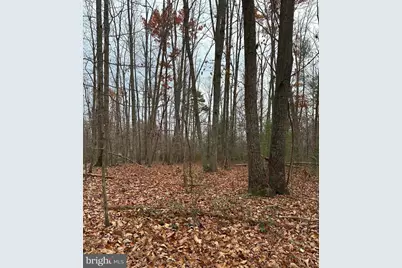 Woodland Church Road, Culpeper, VA 22701 - Photo 1