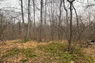 0 Settle School Rd, Rixeyville, VA 22737 - Photo 1