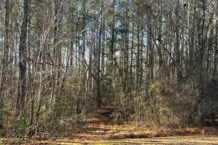 0B McKenney Dr, Woodford, VA 22580 - Photo 1