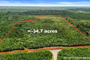 Sparta Rd, Milford, VA 22514 - Photo 1