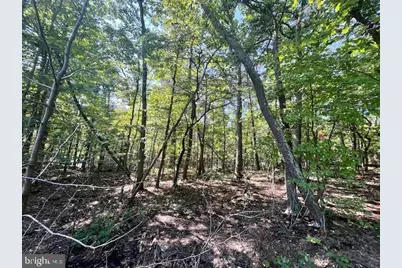 Cardinal Dr., Luray, VA 22835 - Photo 1