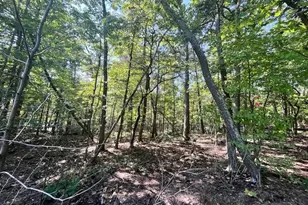 Cardinal Dr, Luray, VA 22835 - Photo 1