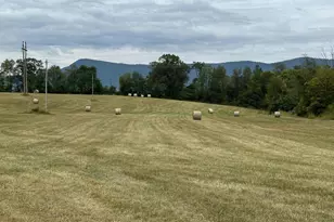 Vaughn Summit Rd, Luray, VA 22835 - Photo 1