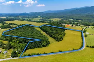 Off Sunnyview Dr, Rileyville, VA 22650 - Photo 1