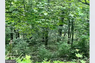 Greenway Lane, Luray, VA 22835 - Photo 1