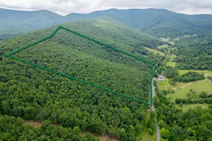 Cubbage Hollow Rd Lot 75 - 40 55 Acres, Stanley, VA 22851 - Photo 1