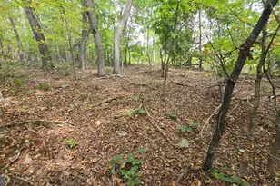 Lot 20 Long View Dr, Luray, VA 22835 - Photo 1