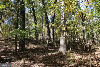 River View Place, Shenandoah, VA 22849 - Photo 1