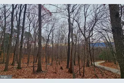 Tbd Forest Drive Ext, Luray, VA 22835 - Photo 1