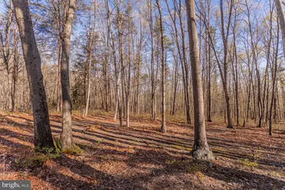 160 Gale Lane, Stanley, VA 22851 - Photo 47
