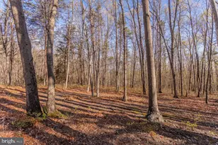 160 Gale Ln, Stanley, VA 22851 - Photo 47