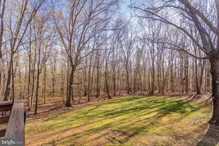 160 Gale Ln, Stanley, VA 22851 - Photo 37